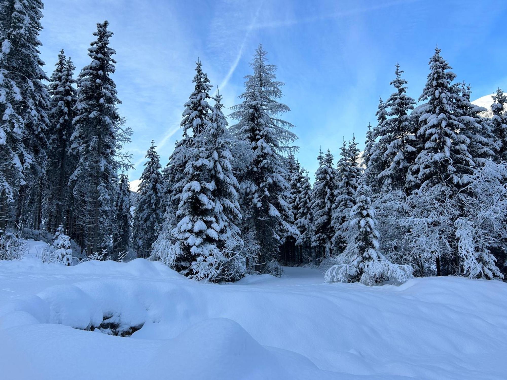 Апартаменты Haus Waldblick Хопфгартен-ин-Деферегген Экстерьер фото